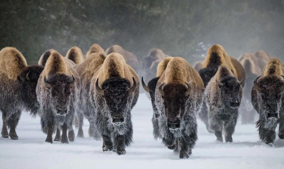 南宁生活信息有限公司轮播图3