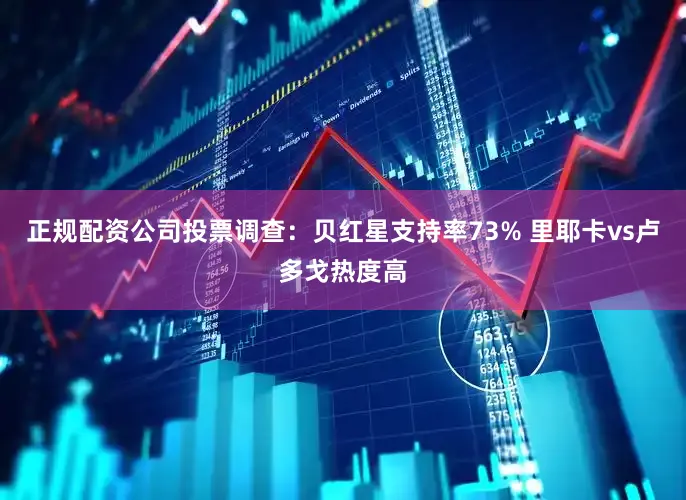 正规配资公司投票调查：贝红星支持率73% 里耶卡vs卢多戈热度高